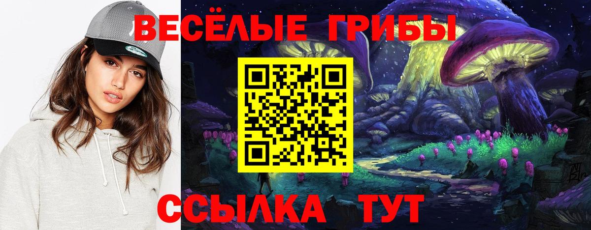 Галлюциногенные грибы MAGIC MUSHROOMS  Вход с VPN  Альметьевск 