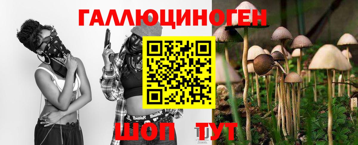 Псилоцибиновые грибы мицелий Альметьевск