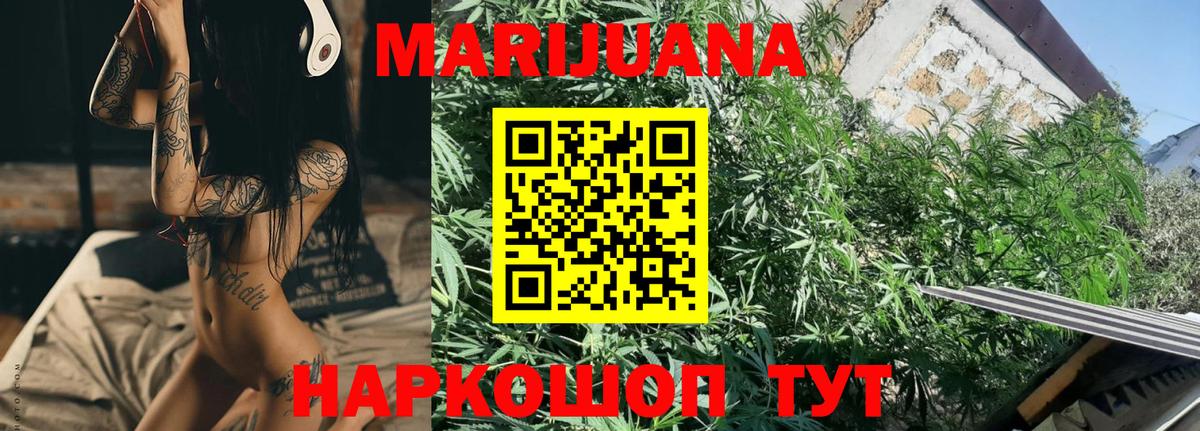 Канабис OG Kush  Шишки марихуана семена  Вход с VPN  Марихуана семена  Альметьевск  Канабис OG Kush 